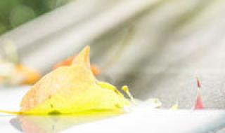 一个人看海 一个人看海