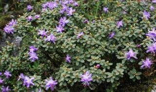 燕子沟图片 燕子沟图片