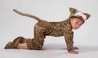 小动物的舞蹈 小动物的舞蹈