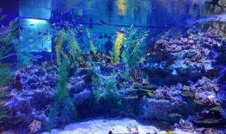 成都极地海洋世界地址 成都极地海洋世界地址