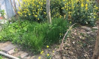 开垦妈妈肥沃的土地 开垦妈妈肥沃的土地