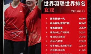 世界羽毛球单打排名